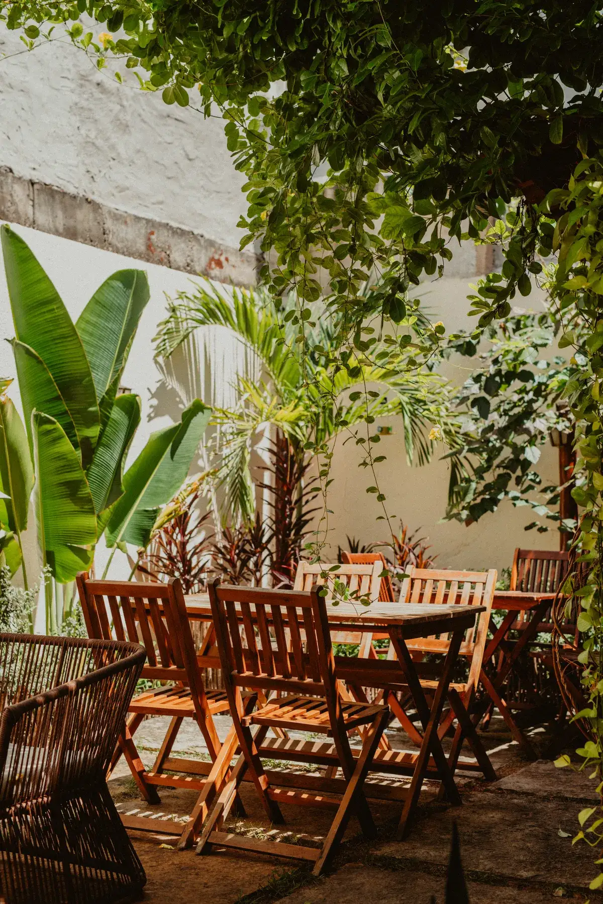 Jardim com mesas de madeira e plantas